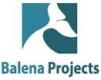 Balena Projects