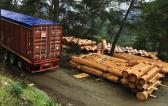 Zero Time Services Transport Ironwood from Russia to Cyprus