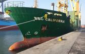 Al Bader Shipping Handles Breakbulk Cargo on Chartered Vessel