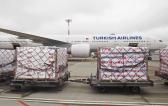 Premier Global Logistics with Urgent Air Shipment to France