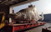 Extensive Project Logistics Knowledge at Alow Forwarding Mexico