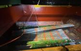 Protranser in China Export Long Steel Pipes to Vietnam