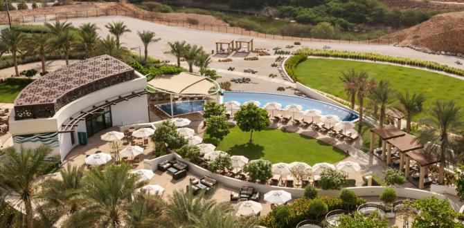 2026 Annual Summit in Oman