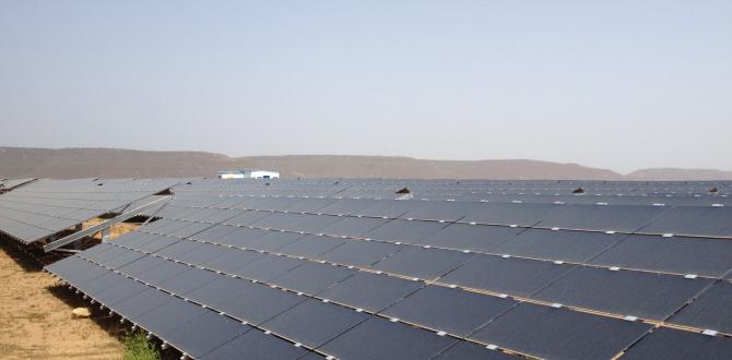 Express Global Logistics Contributing to a Green India with Solar Projects