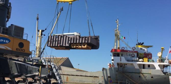 Livo Logistics Execute Multimodal Transport of Stabilizer Plants