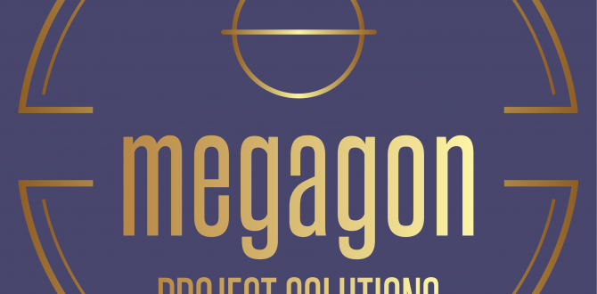 Golden Project Solutions from Megagon