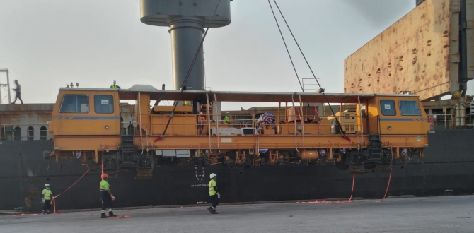 Wilhelmsen UAE Report Strong Showing of RORO Shipments
