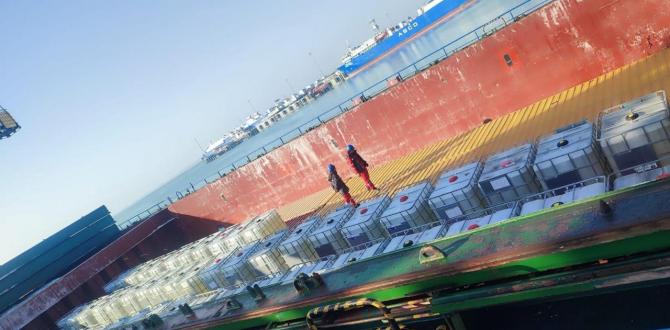 Efficient & Seamless Cargo Movements with AZSHIPPING