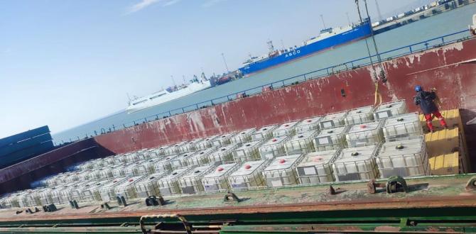 Efficient & Seamless Cargo Movements with AZSHIPPING