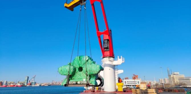 EXG Execute Complex Ocean Freight Operation from China