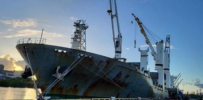 Balena Projects Transport Heavy Transformer at Houston Port