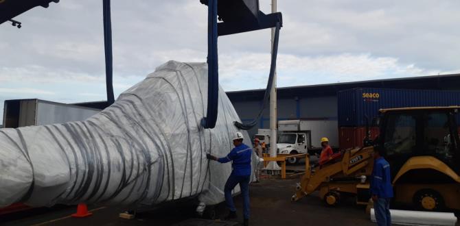 Extensive Project Logistics Knowledge at Alow Forwarding Mexico