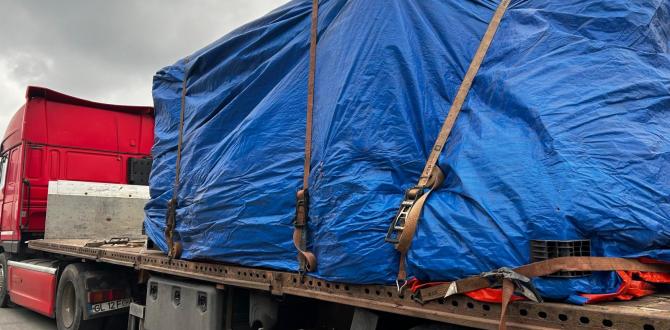 A Customised Package of Specialist Services at SCSL Romania