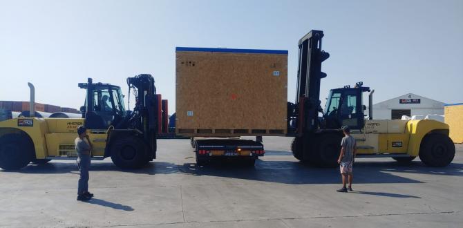 A Customised Package of Specialist Services at SCSL Romania