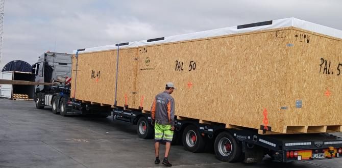 A Customised Package of Specialist Services at SCSL Romania