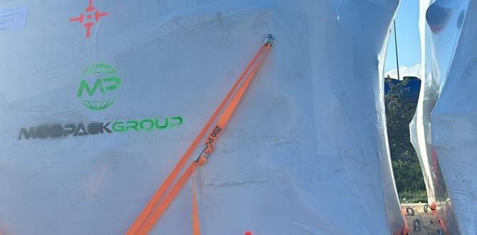 A Customised Package of Specialist Services at SCSL Romania