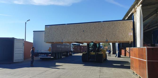 A Customised Package of Specialist Services at SCSL Romania