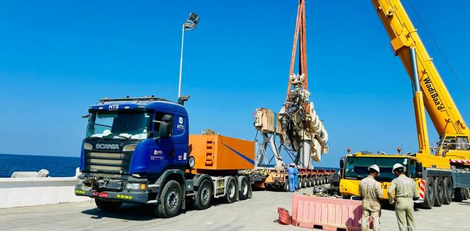 Muscat International Shipping Deliver Lifting Arm in Oman