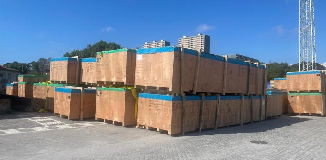 Burmester & Stüve with Challenging Logistics Operation at the Port of Leixões