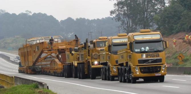 Hansa Meyer Brazil Coordinate Monumental Transformers Project