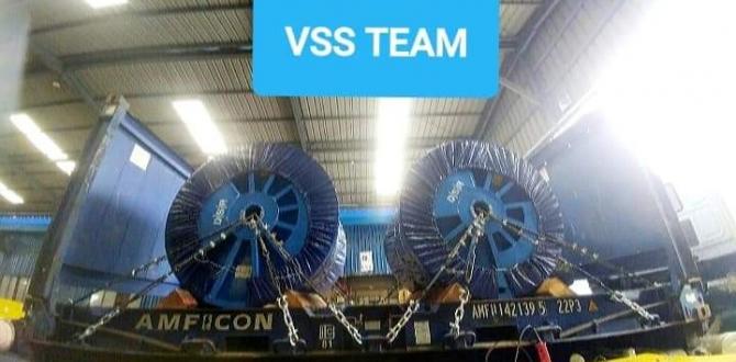 Services Beyond Expectations with Venus Shipping Services