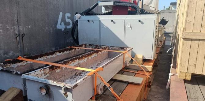 Services Beyond Expectations with Venus Shipping Services