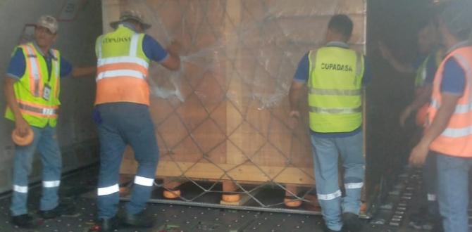 Upcargo Logistics Share Latest Multimodal Operations