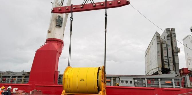 MS Global Freight Solution Moves Reels from Malaysia to Georgia