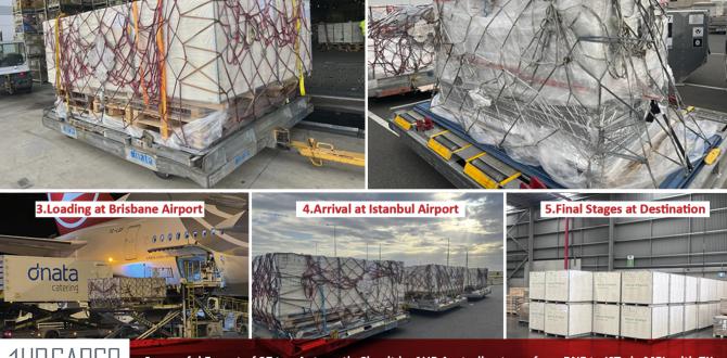 Precision Converges with Expertise at 1UP Cargo