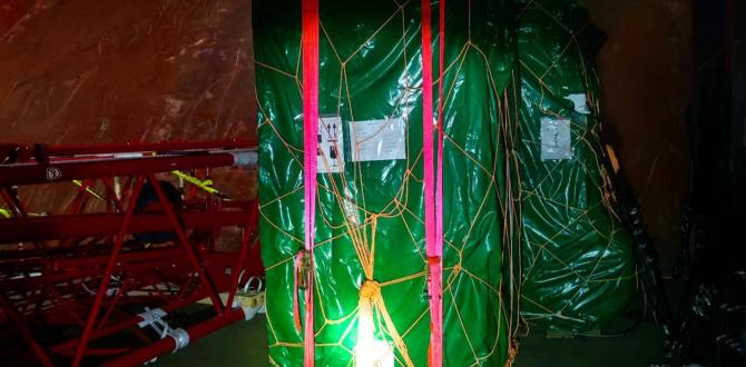 Over 25 Years of Logistics Experience with Green Channel