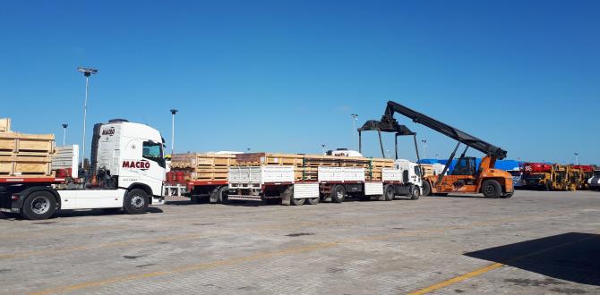 International Fresh Forwarder have the Right Logistics Solutions