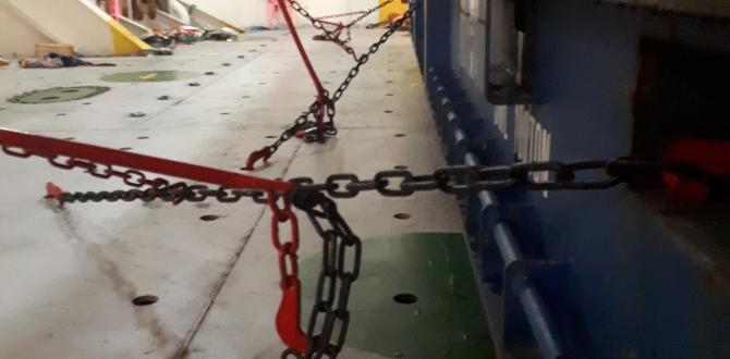 International Fresh Forwarder have the Right Logistics Solutions