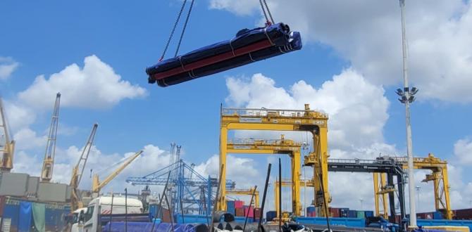 Logistix Africa Tanzania Handle All Logistical Complexities