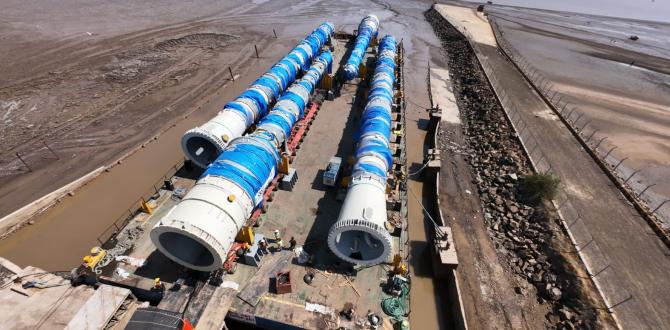EXG Execute Multimodal Transportation of ODC Columns