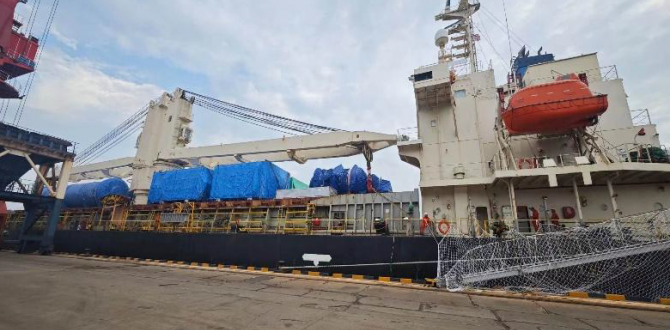 Eastrong Help Navigate Complex Logistics Challenges