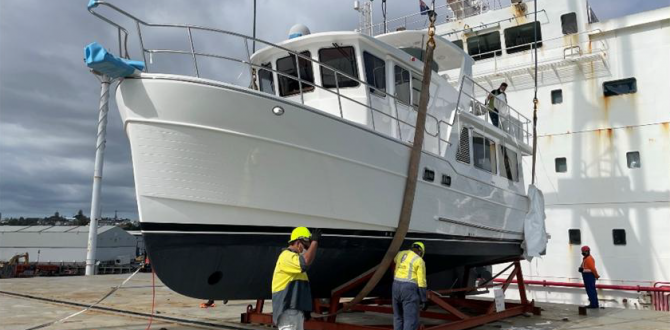Eastrong Help Navigate Complex Logistics Challenges