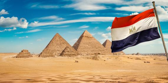 Specialised Handling for Complex Projects at Master International Logistics in Egypt