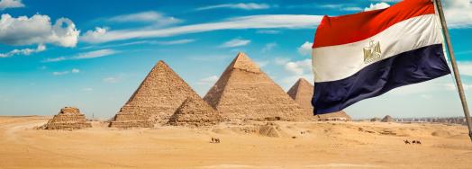 Specialised Handling for Complex Projects at Master International Logistics in Egypt